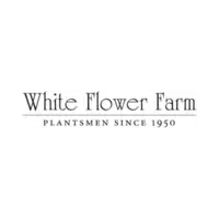 white flower farm