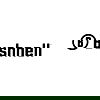 Bushnell logo