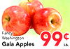 Fancy Washington Gala Apples Lb.