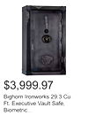 Bighorn Ironworks 29.3 Cu. Ft. Executive Vault Safe, Biometric Lock, Fire Rated