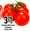 329 Organically Grown Tomatoes on the Vine