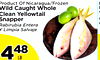 44
Product Of Nicaragua/Frozen
Product Of Nicaragua/Frozen
Wild Caught Whole
Wild Caught Whole
Clean Yellowtail
Clean Yellowtail
Snapper
Snapper
Rabirubia Entera
Rabirubia Entera
Y Limpia Salvaje
Y Limpia Salvaje
P
P
F
F
W
W
M
M
P
P
444848
LB