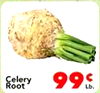 Celery Root