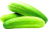 Large Slicing Cucumbers