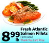 Fresh Atlantic Salmon Fillets