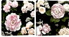 Midnight Blooms 16-Inch Square Canvas Wall Art (Set of 2)