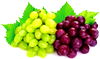 Red or White Seedless Grapes