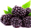 GOLDEN BERRIES 4.4 Oz. Pkg.,BLACKBERRIES 6 Oz. Pkg