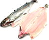 BUTTERFLIED RAINBOW TROUT FILLET