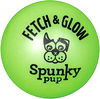 Spunky Pup™ Large Fetch & Glow Ball Dog Toy - Assorted Colors