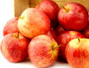 Fuji Apples