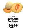 Fresh Sweet, Ripe Cantaloupes $299