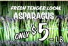 FRESH TENDER LOCAL ASPARAGUS $ ONLY 5 LB