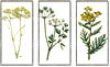 Bee & Willow™ Floral Framed Embellished Canvas Wall Art (Set of 3)