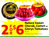 Nature Sweet Cherub, Comet or Glorys Tomatoes