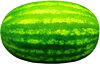 Seedless Watermelon