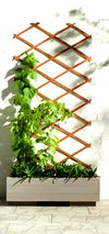 Parkside wooden lattice trellis