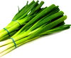 CRISP GREEN ONIONS (SCALLIONS)