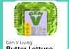Gen V Living
Butter Lettuce