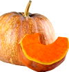 TROPICAL CALABAZA