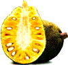 Jack Fruit