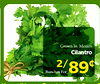 Grown In Mexico Cilantro Bunches 2/89" For