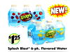 Splash Blast® 6-pk. Flavored Water