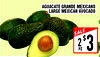 AGUACATE GRANDE MEXICANO LARGE MEXICAN AVOCADO SALE 2 PZ $3