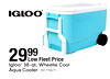 Igloo