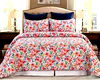 3-Piece Full/Queen Quilt Set