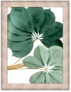 Nature Study 13-Inch x 17-Inch Canvas Wall Art