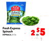 Fresh Express