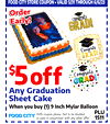9 Inch Mylar Balloon