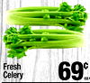 Fresh Celery