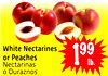 White Nectarines or Peaches