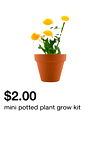 mini potted plant grow kit
