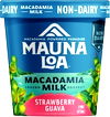 Mauna Loa
