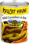 Kvuzat Yavne