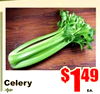 Celery Aple EA.