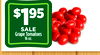 Grape Tomatoes
