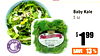 40
Baby Kale
5 oz
$ 199
SAVE
13%