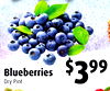 9999
Blueberries
Dry Pint
$399