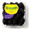 Driscoll's
