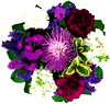 Day Dream Bouquet