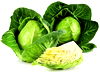 cabbage