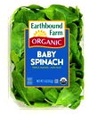 EARTHBOUND