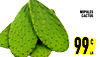 NOPALES CACTUS 99 LB C