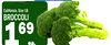 BROCCOLI