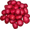 Baby Red Potatoes