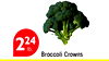224
lb.
Broccoli Crowns
Broccoli Crowns
Broccoli Crowns